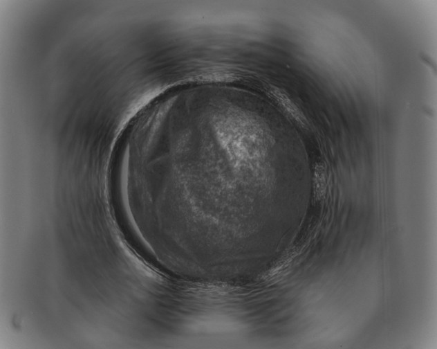 X0000091010726200708301357