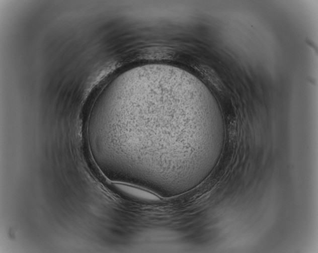 X0000091010727200708301357