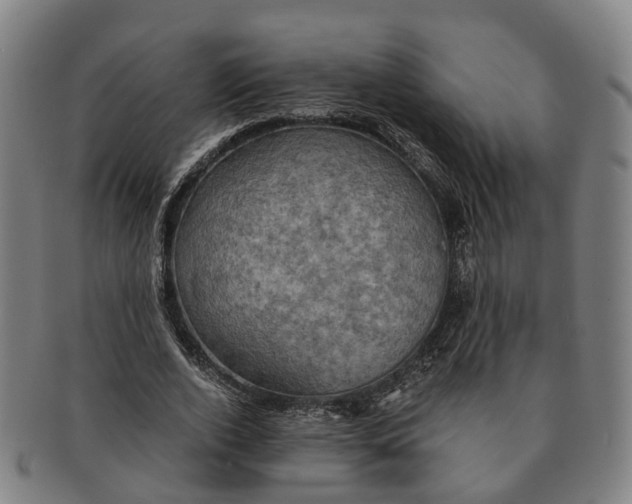 X0000091010728200708301357