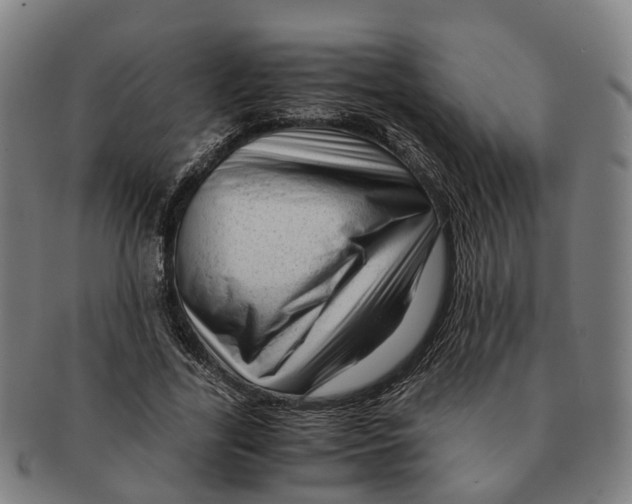 X0000091010731200708301357