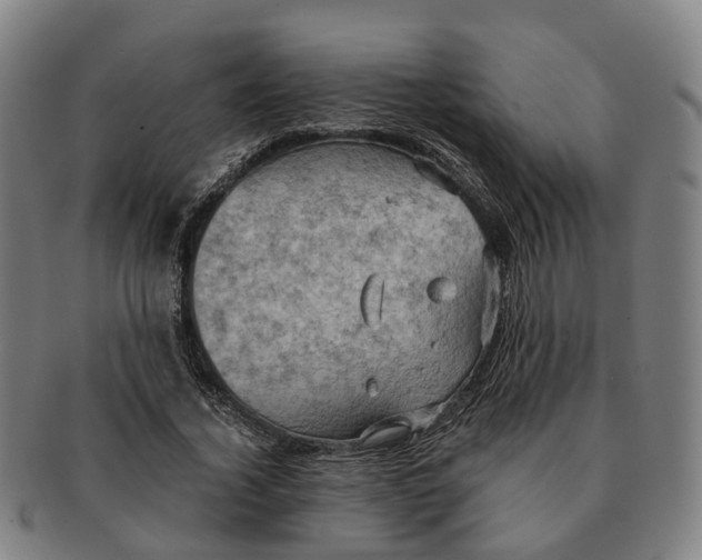 X0000091010732200708301357