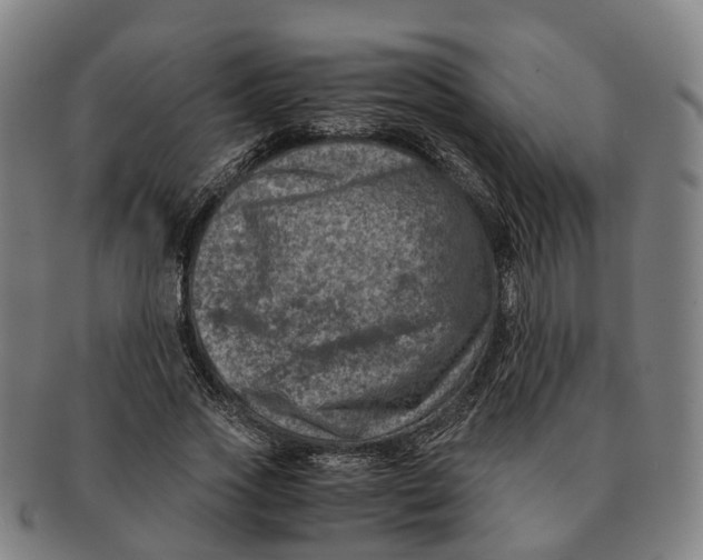 X0000091010733200708301357