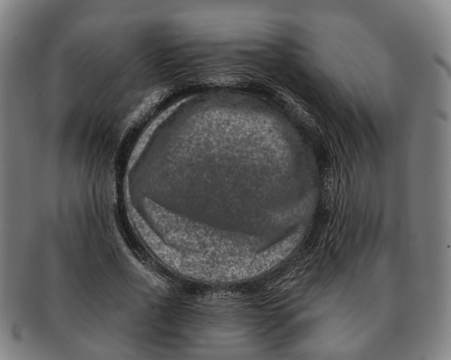 X0000091010734200708301357