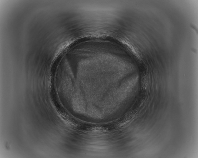 X0000091010736200708301357