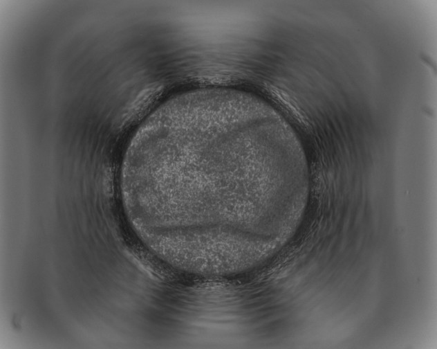 X0000091010738200708301357