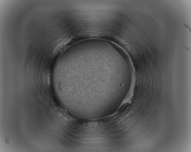 X0000091010740200708301357