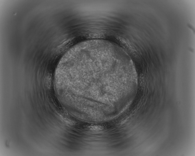 X0000091010741200708301357