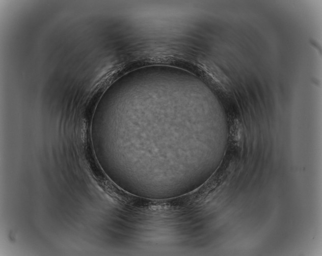 X0000091010744200708301357