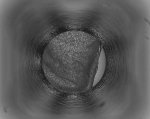 X0000091010745200708301357