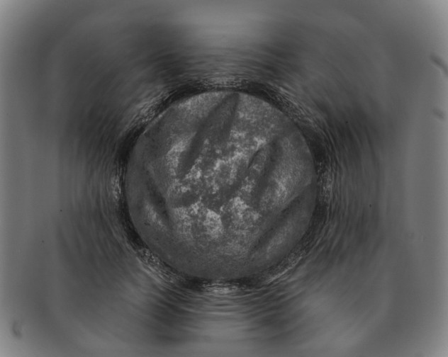 X0000091010746200708301357