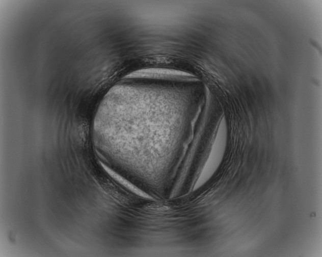 X0000091010747200708301357