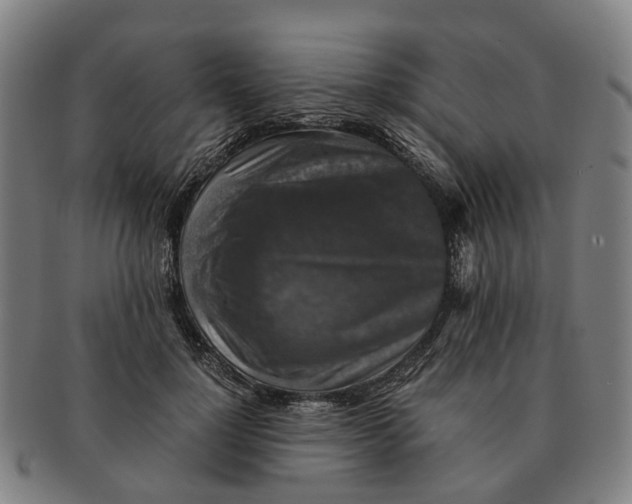 X0000091010748200708301357