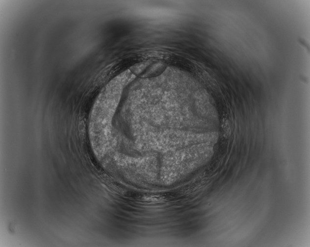 X0000091010753200708301357