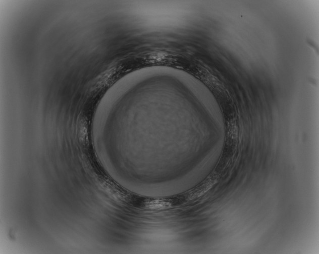 X0000091010754200708301357