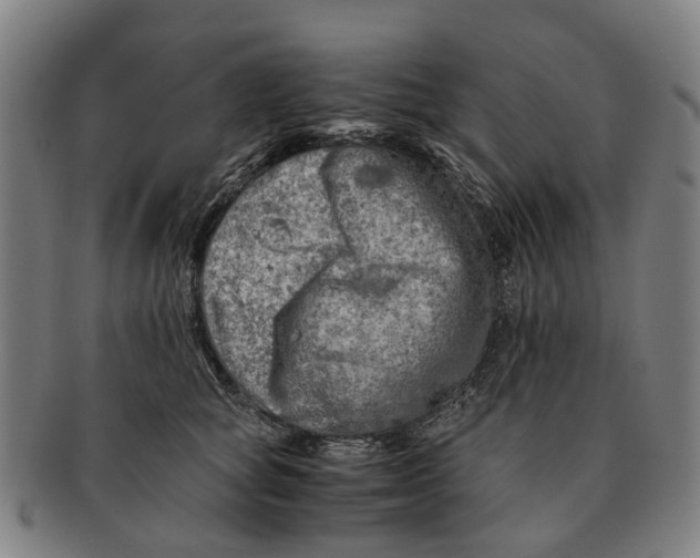 X0000091010757200708301357