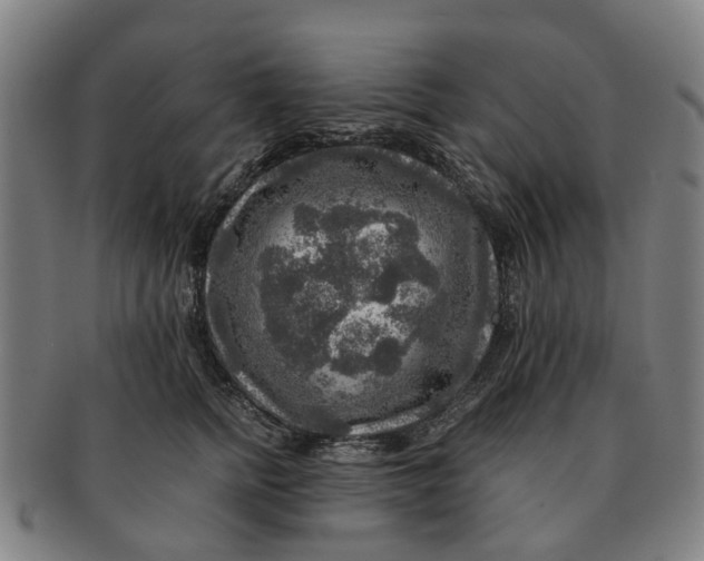 X0000091010758200708301357