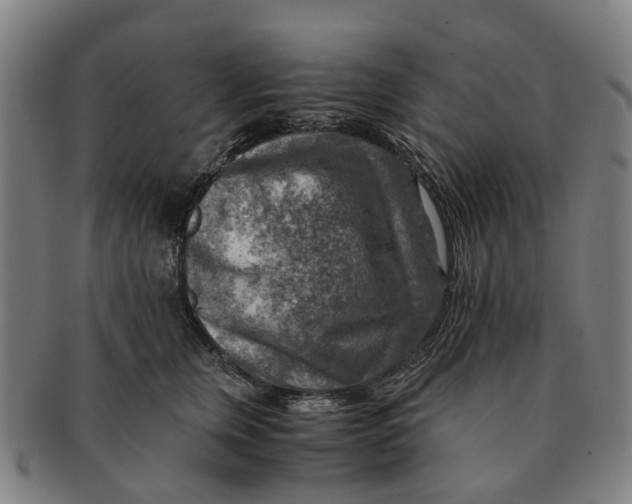 X0000091010759200708301357