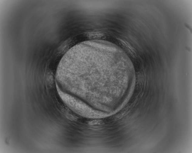 X0000091010761200708301357