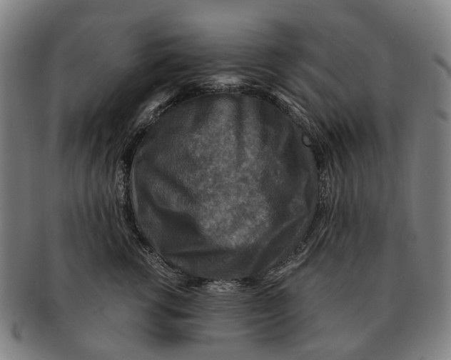 X0000091010762200708301357