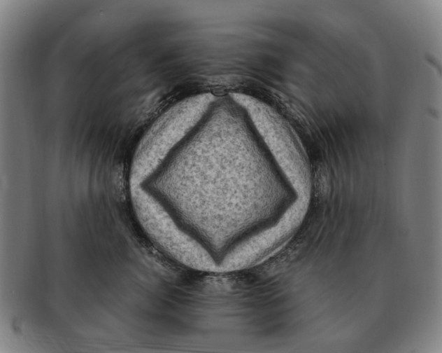 X0000091010764200708301357