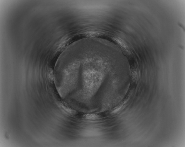 X0000091010766200708301357