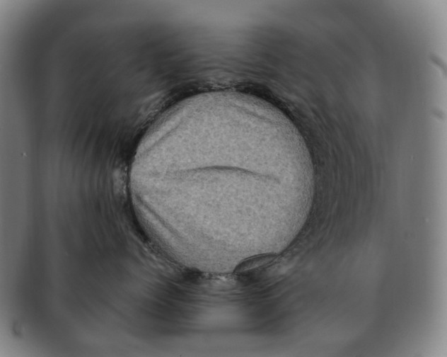 X0000091010768200708301357