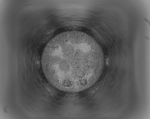 X0000091010771200708301357