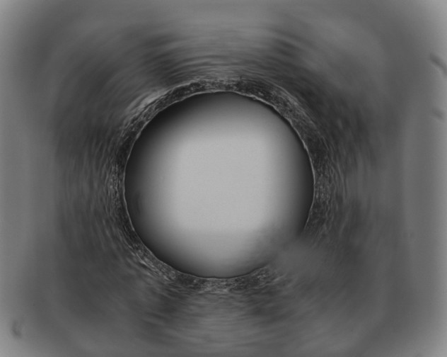 X0000091010773200708301357