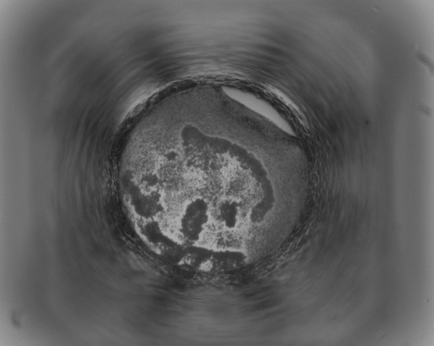 X0000091010775200708301357