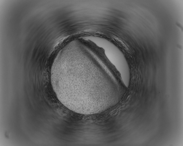 X0000091010776200708301357