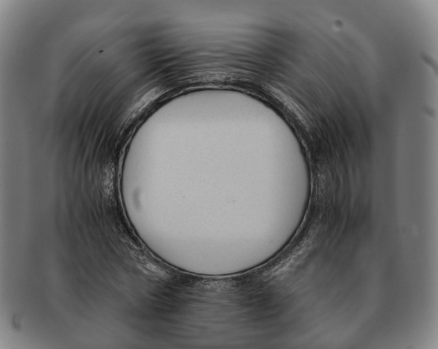 X0000091010778200708301357