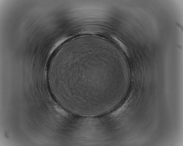 X0000091010779200708301357