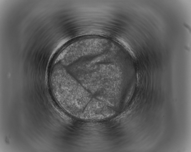 X0000091010780200708301357