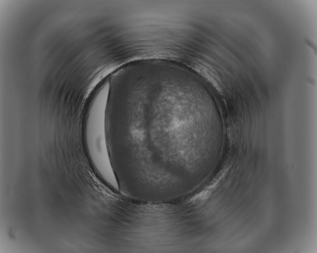 X0000091010781200708301356