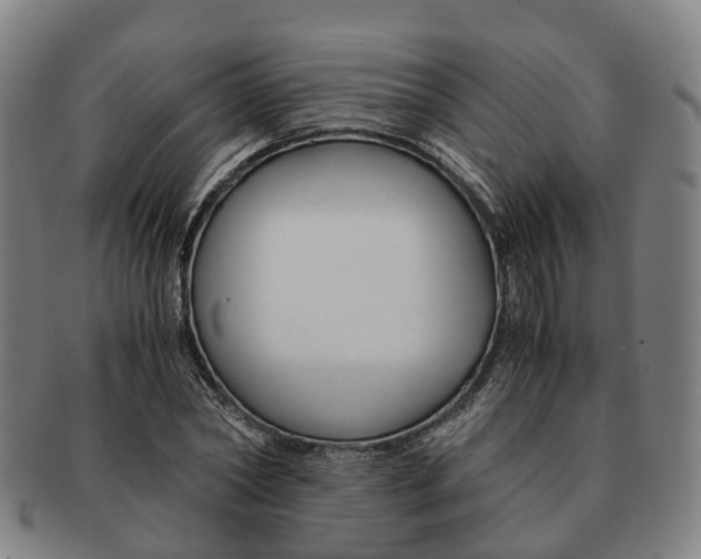 X0000091010782200708301356