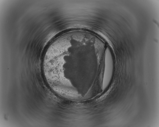 X0000091010783200708301356