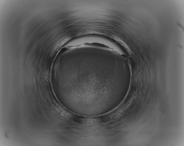 X0000091010785200708301356