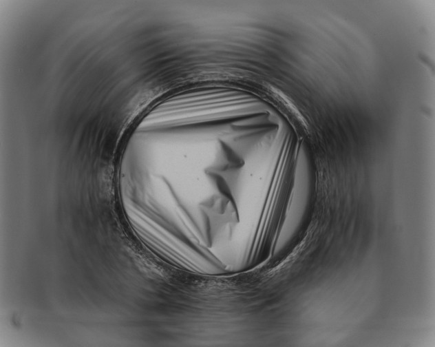 X0000091010786200708301356