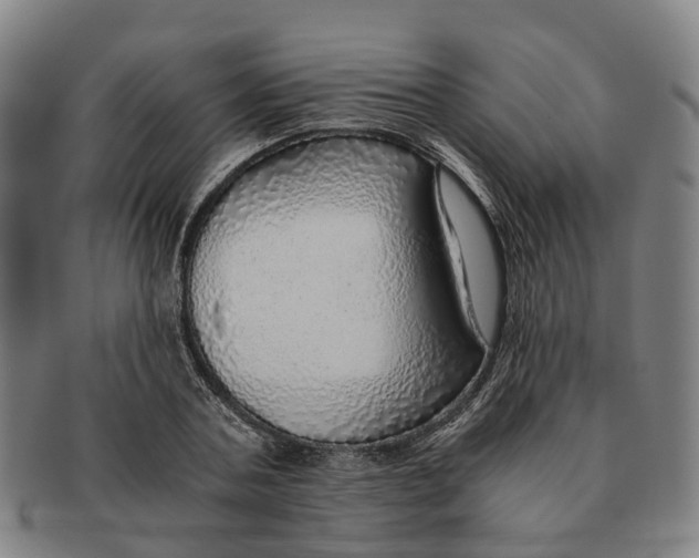 X0000091010787200708301356