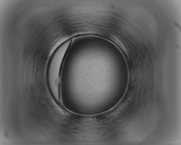 X0000091010789200708301356