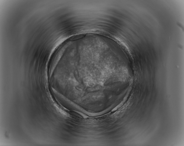 X0000091010792200708301356