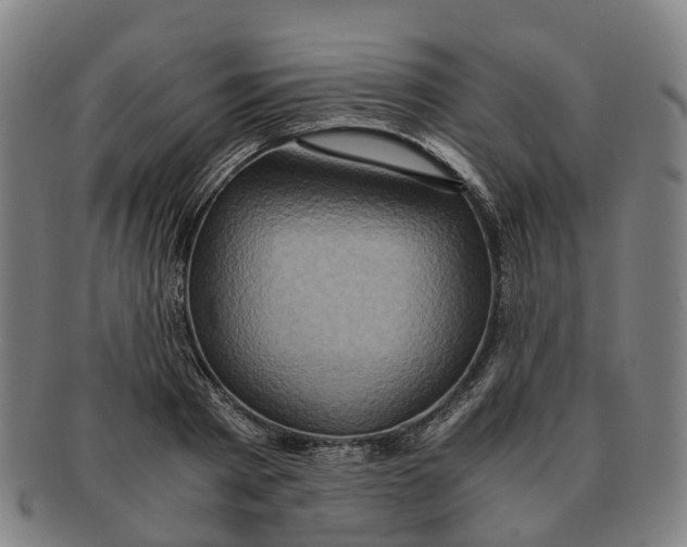 X0000091010793200708301356