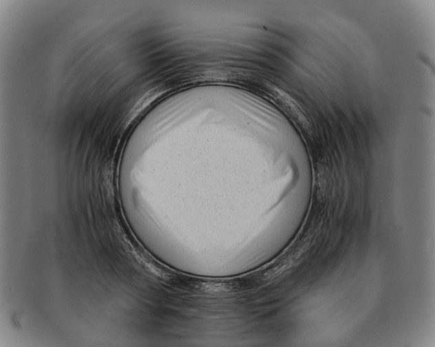 X0000091010794200708301356