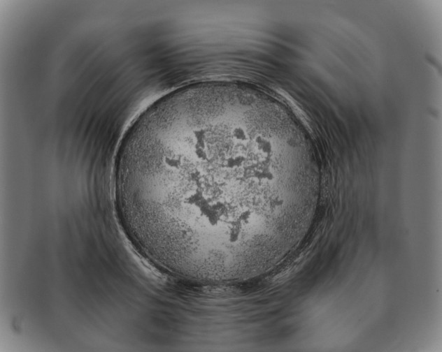 X0000091010795200708301356