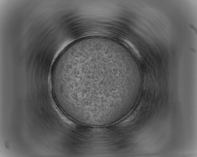 X0000091010796200708301356