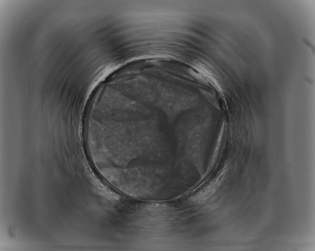 X0000091010797200708301356