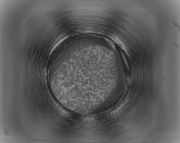 X0000091010798200708301356