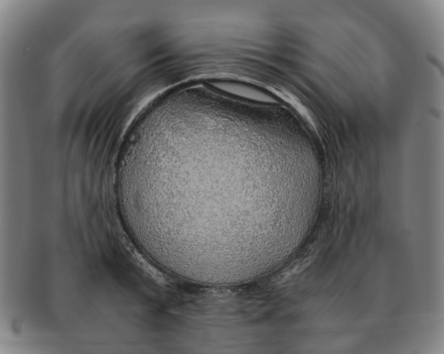 X0000091010799200708301356