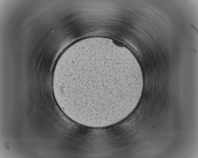 X0000091010800200708301356