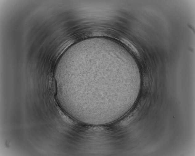 X0000091010801200708301356